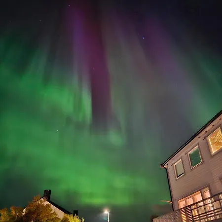 Cozy, With View In * Tromsø
